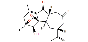 Sinulanorcembranolide A